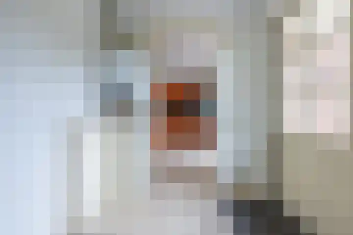 Sluissestraat 18 Appeltern thumbnail 26