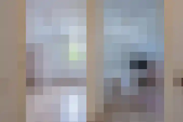 Sluissestraat 18 Appeltern thumbnail 37