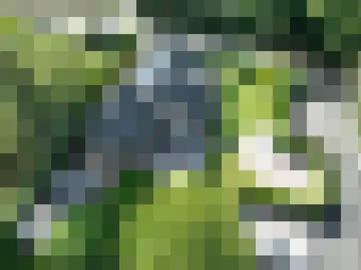 Sluissestraat 18 Appeltern thumbnail 4