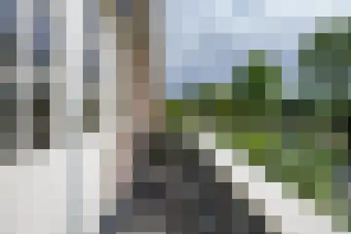 Sluissestraat 18 Appeltern thumbnail 48