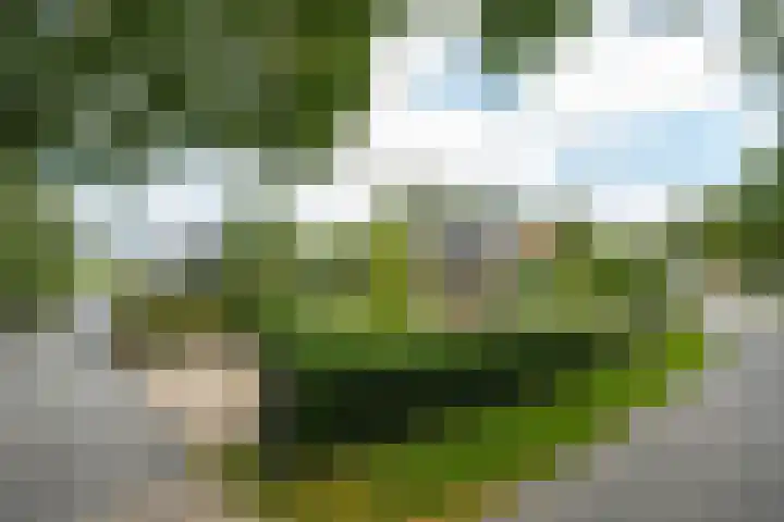 Sluissestraat 18 Appeltern thumbnail 54