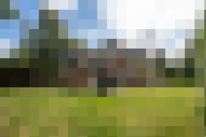 Sluissestraat 18 Appeltern thumbnail 89