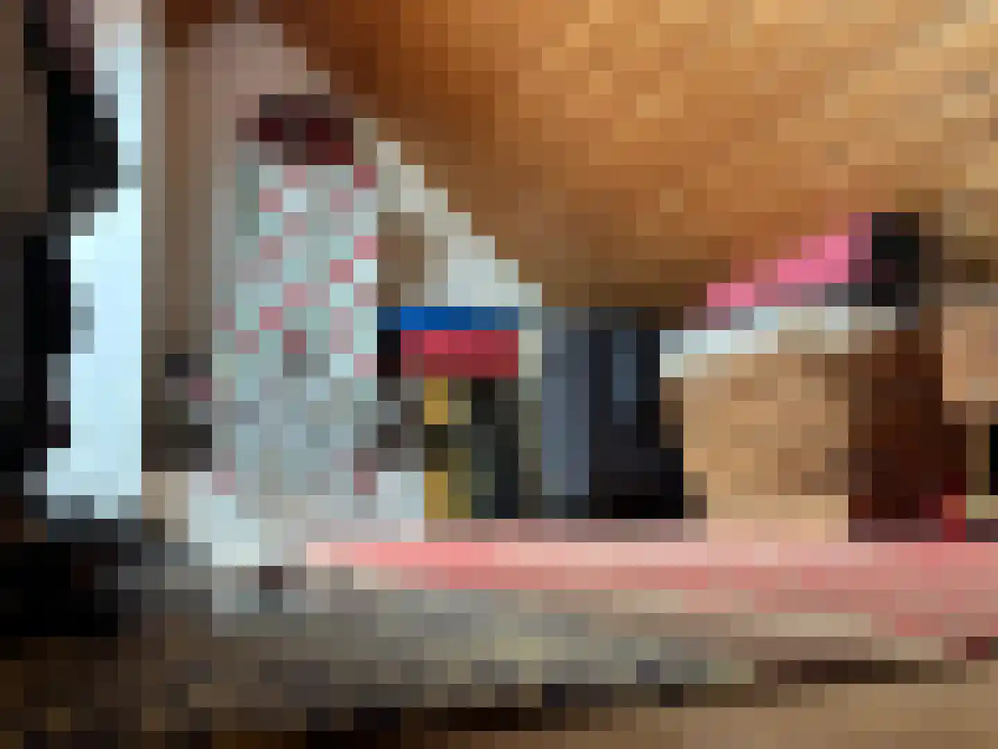 Sluissestraat 31 Zuidzande thumbnail 33