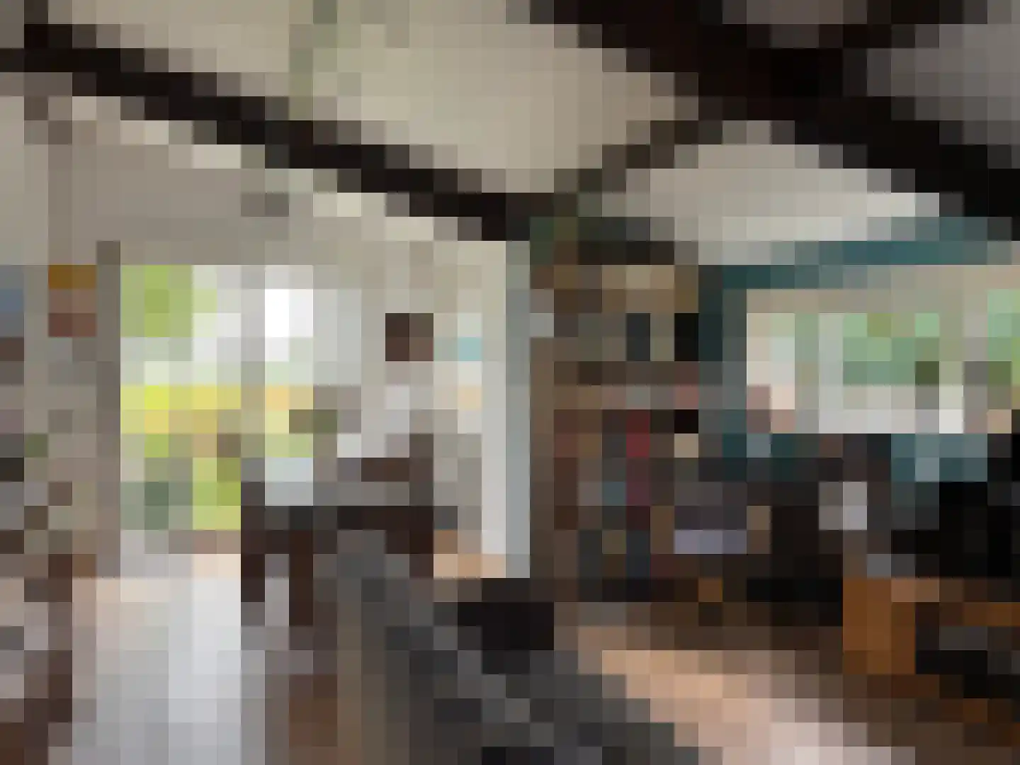 Sluissestraat 31 Zuidzande thumbnail 4