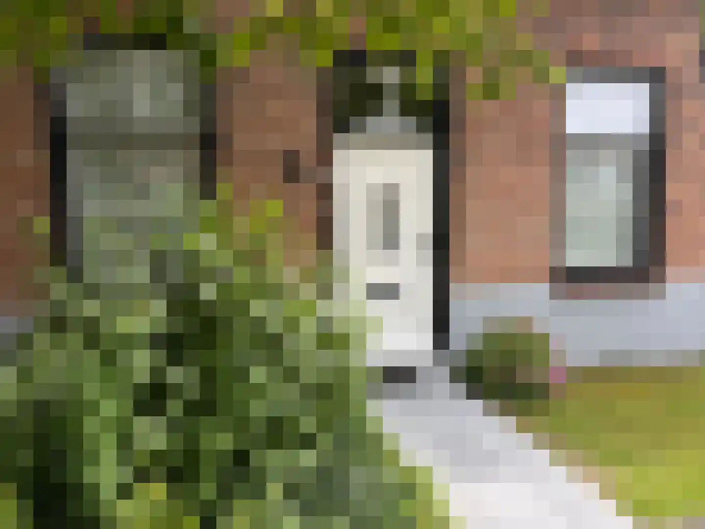 Sluissestraat 31 Zuidzande thumbnail 47