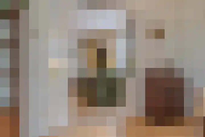 Sluissestraat 7 Maasbommel thumbnail 19