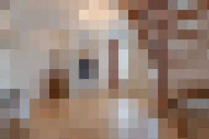 Sluissestraat 7 Maasbommel thumbnail 29