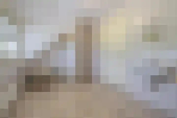 Sluissestraat 7 Maasbommel thumbnail 42