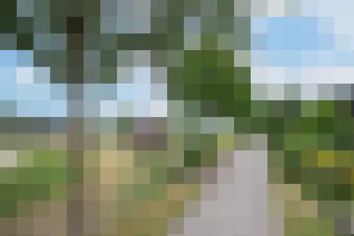 Sluissestraat 7 Maasbommel thumbnail 90