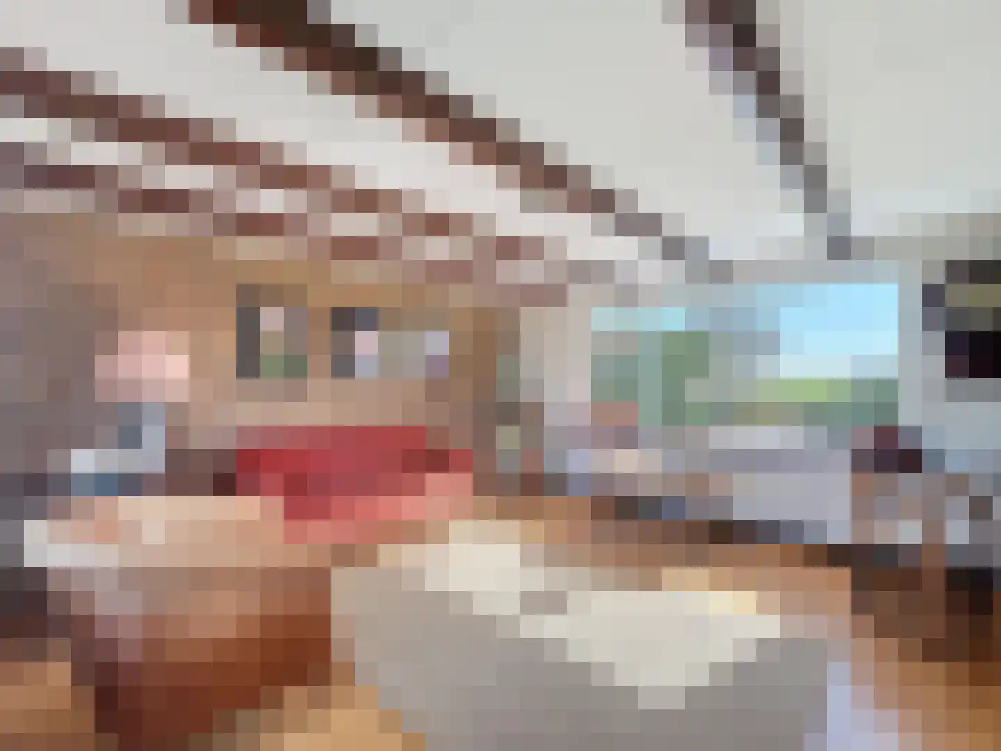 Sluissestraat 71 Zuidzande thumbnail 5