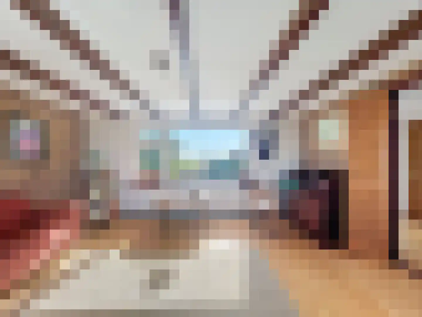 Sluissestraat 71 Zuidzande thumbnail 6