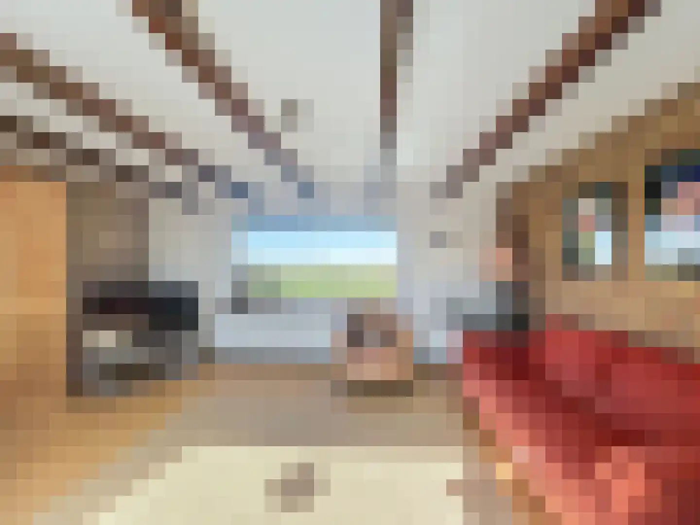 Sluissestraat 71 Zuidzande thumbnail 7