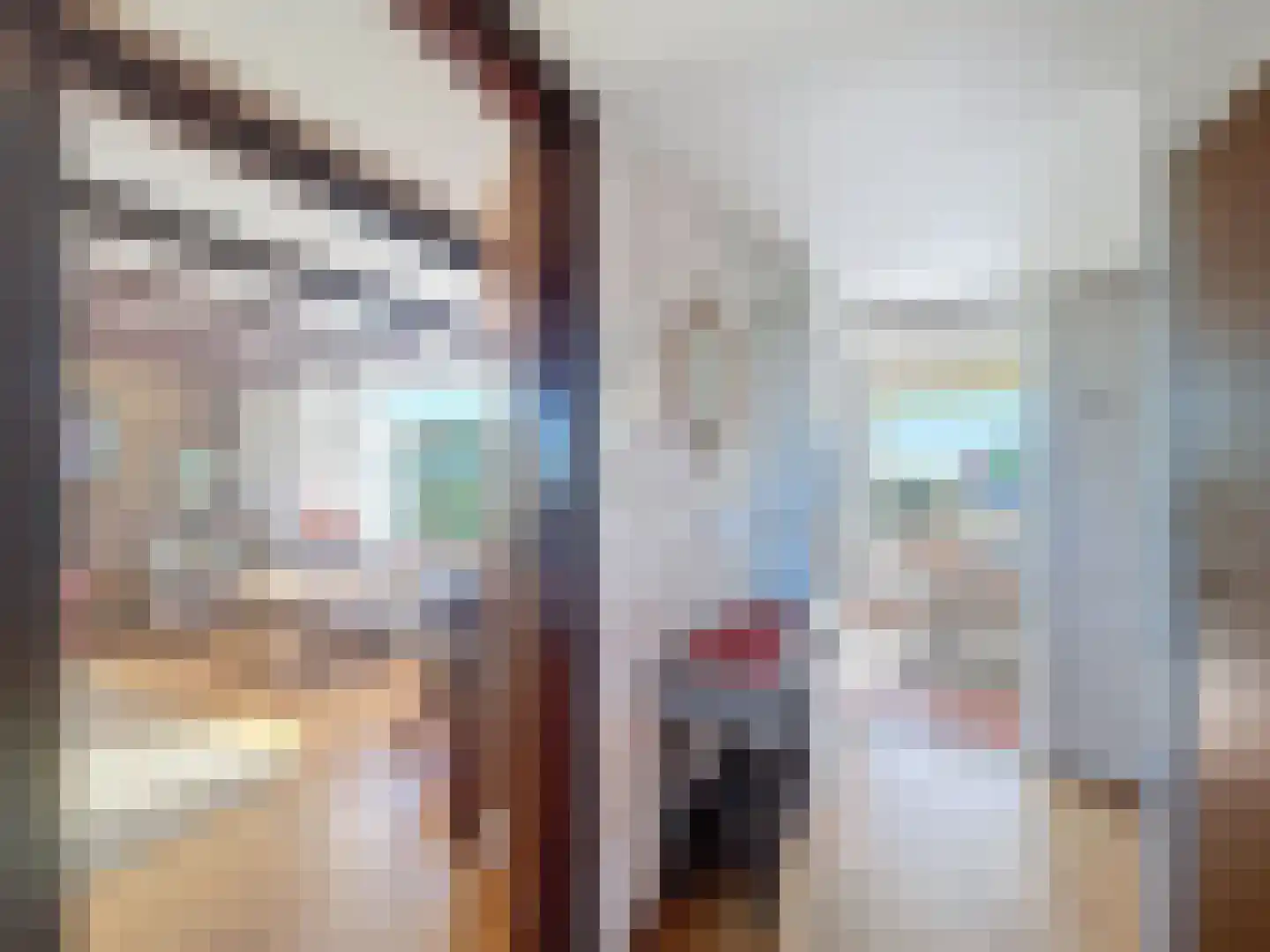Sluissestraat 71 Zuidzande thumbnail 8