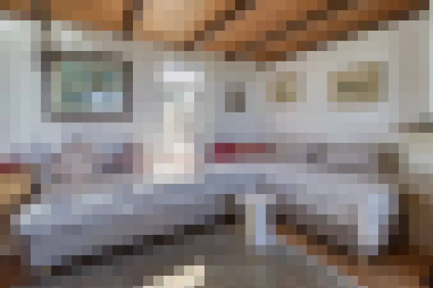 Sluissestraat 73 Zuidzande thumbnail 5
