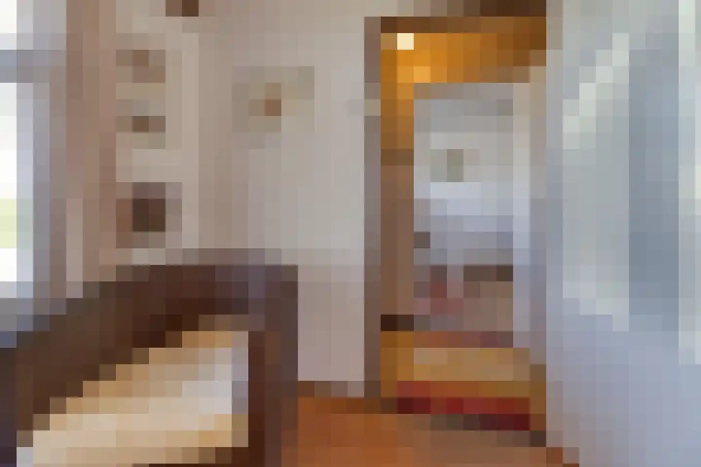 Sluissestraat 73 Zuidzande thumbnail 8
