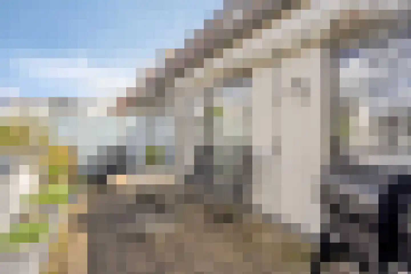 Sluisstraat 117 Veghel thumbnail 15