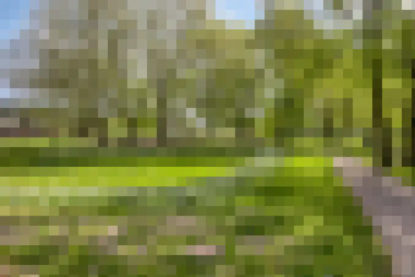 Sluisstraat 117 Veghel thumbnail 31