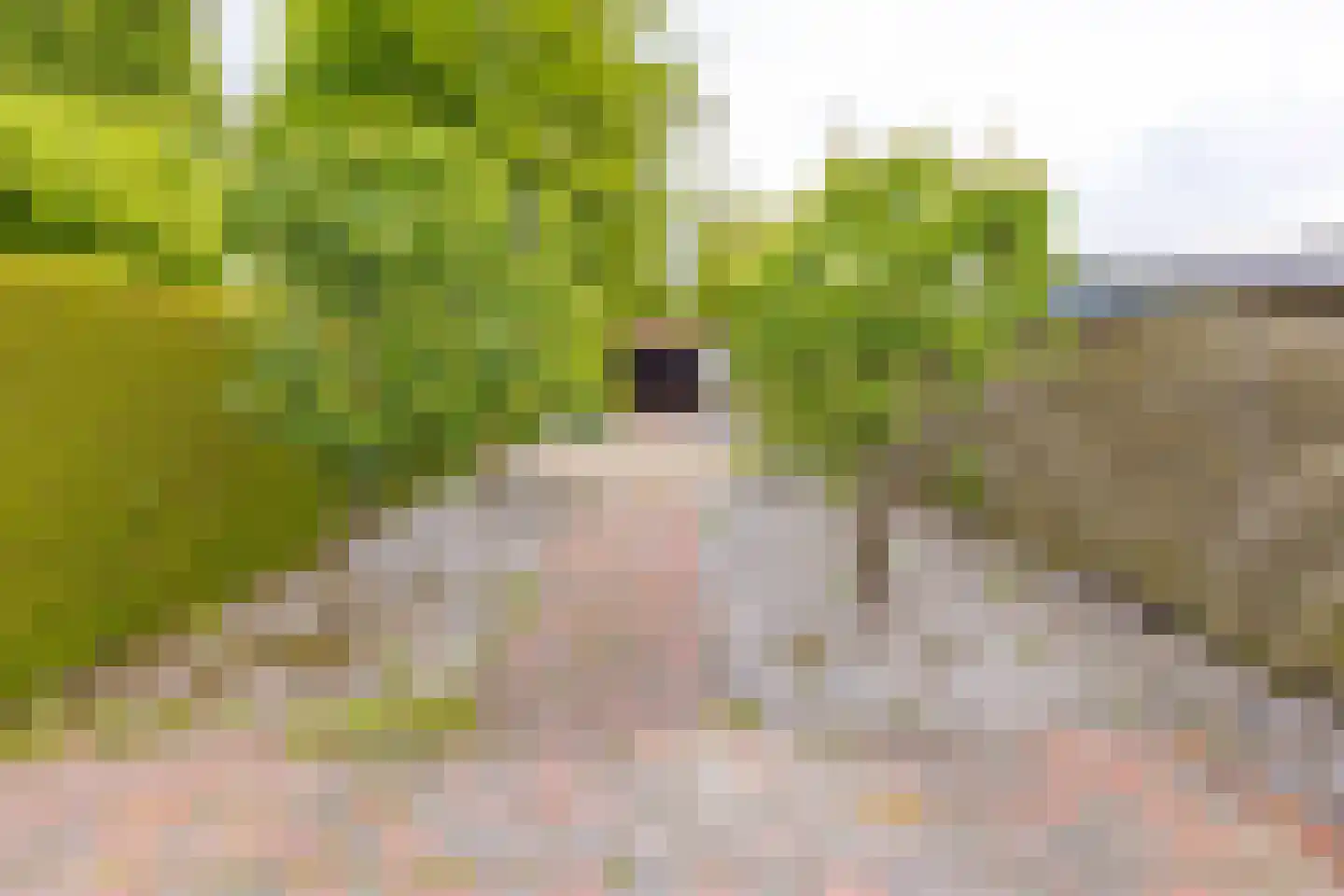Sluisstraat 132 Musselkanaal thumbnail 38