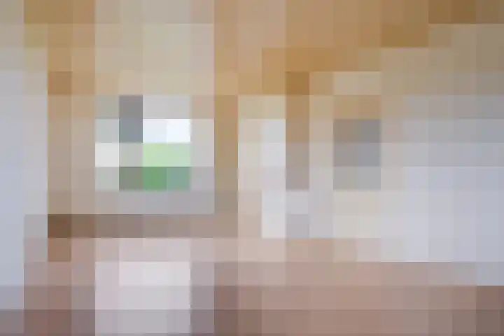 Sluisstraat 2 Lithoijen thumbnail 12