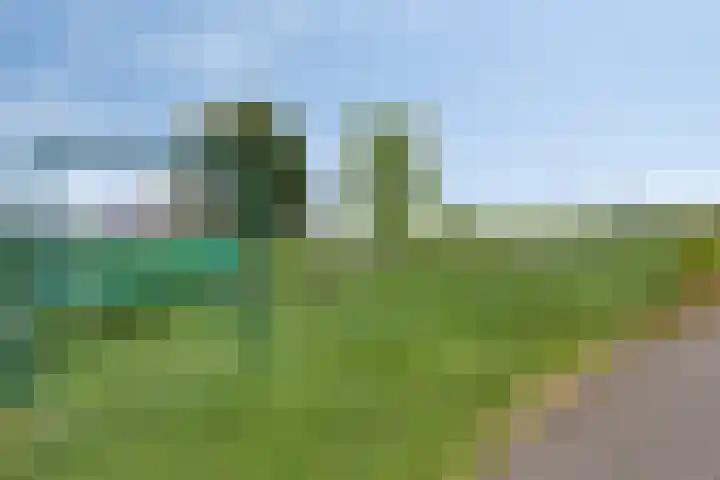 Sluisstraat 2 Lithoijen thumbnail 31