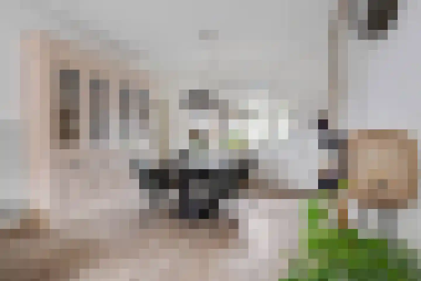 Sluisstraat 25 Veghel thumbnail 10