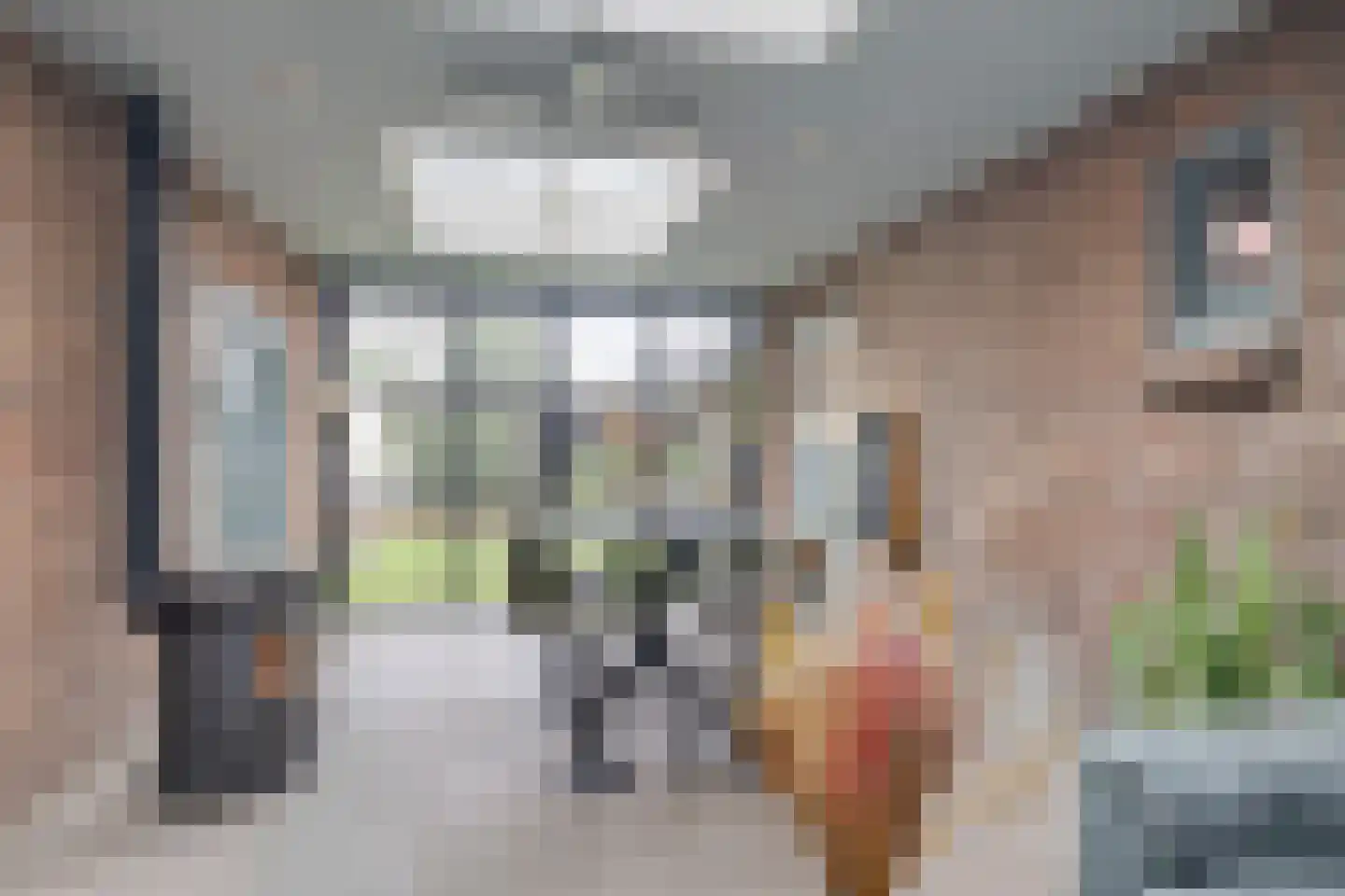 Sluisstraat 25 Veghel thumbnail 18