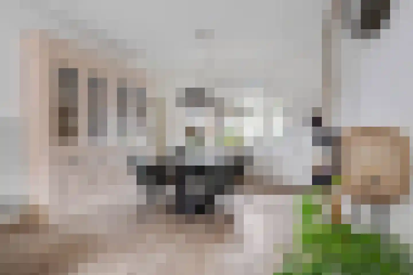 Sluisstraat 25 Veghel thumbnail 9