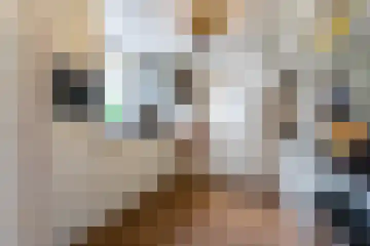 Sluisstraat 31 Geldrop thumbnail 16