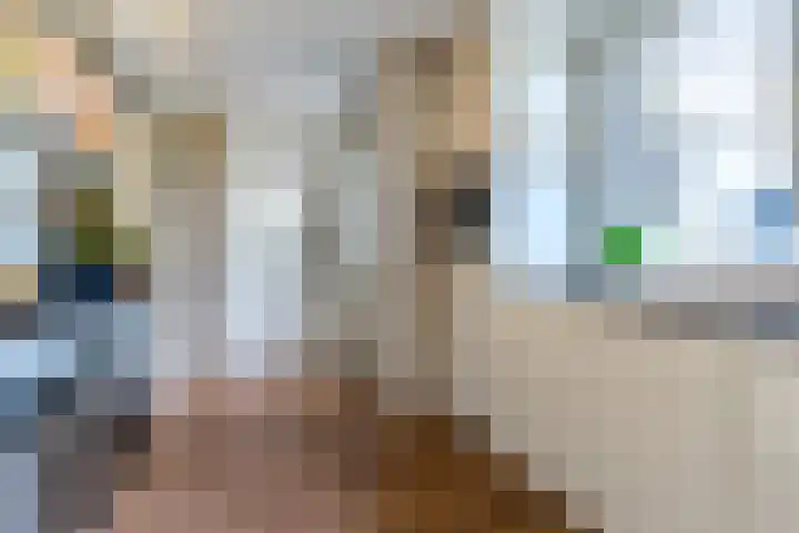 Sluisstraat 31 Geldrop thumbnail 17