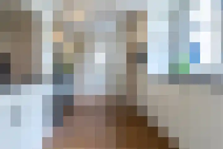 Sluisstraat 31 Geldrop thumbnail 18