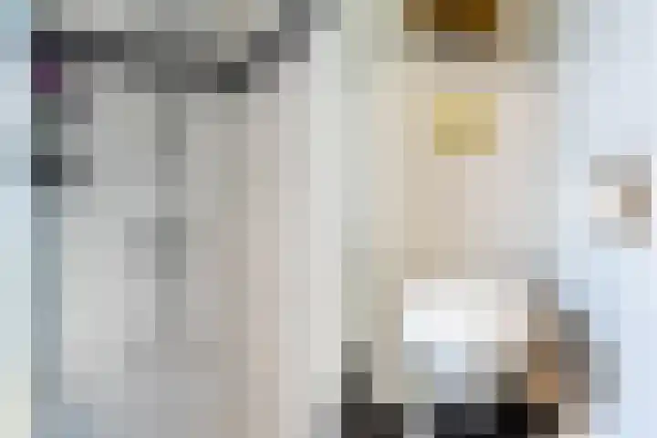 Sluisstraat 31 Geldrop thumbnail 21