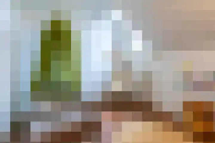 Sluisstraat 31 Geldrop thumbnail 30