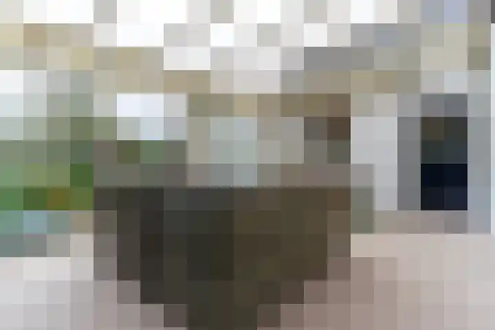 Sluisstraat 31 Geldrop thumbnail 33