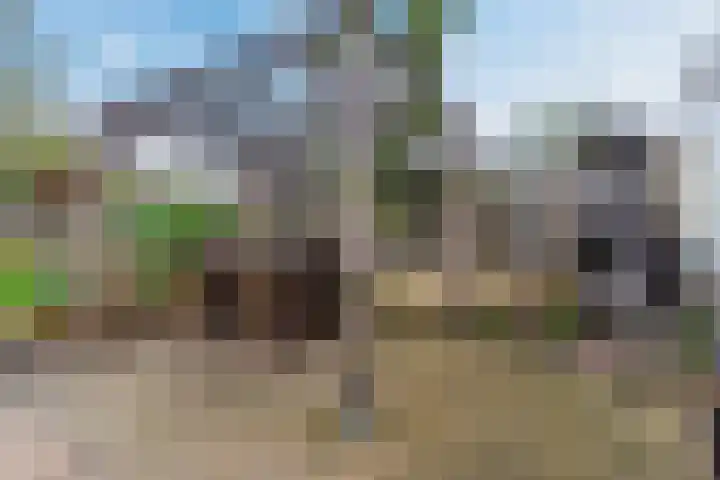 Sluisstraat 31 Geldrop thumbnail 37