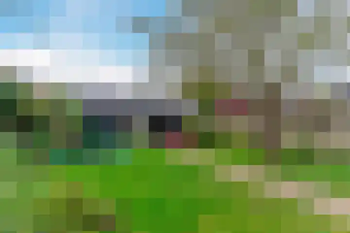 Sluisstraat 31 Geldrop thumbnail 43