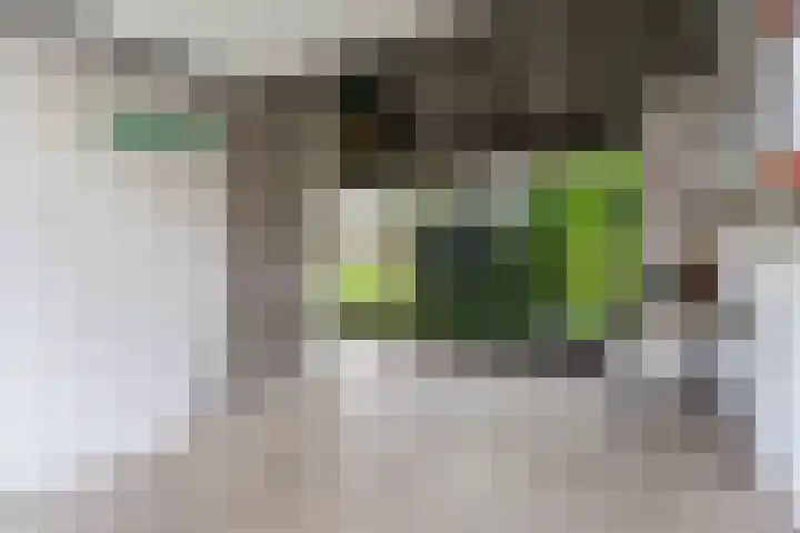 Sluisstraat 31 Geldrop thumbnail 45