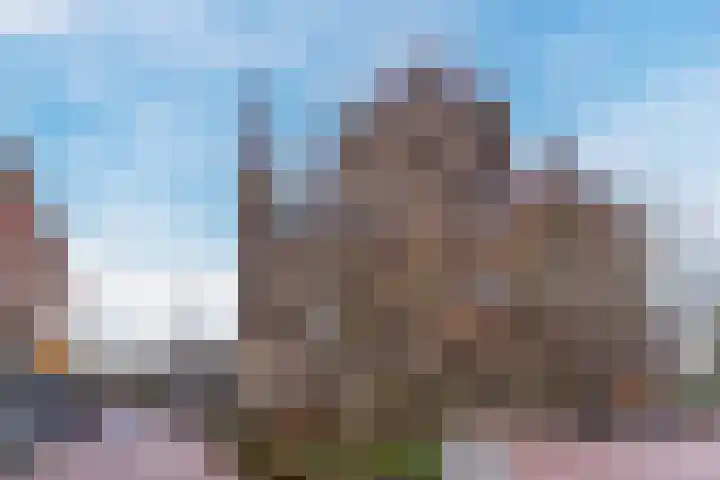 Sluisstraat 31 Geldrop thumbnail 50
