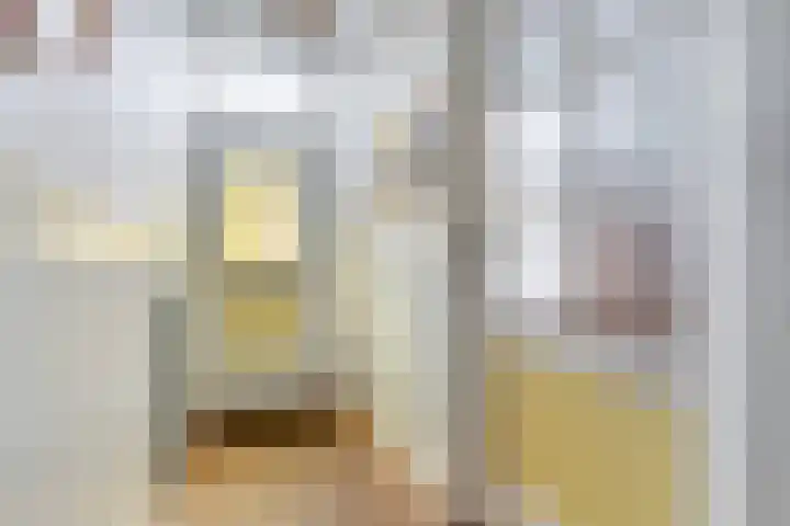 Sluisstraat 31 Geldrop thumbnail 6