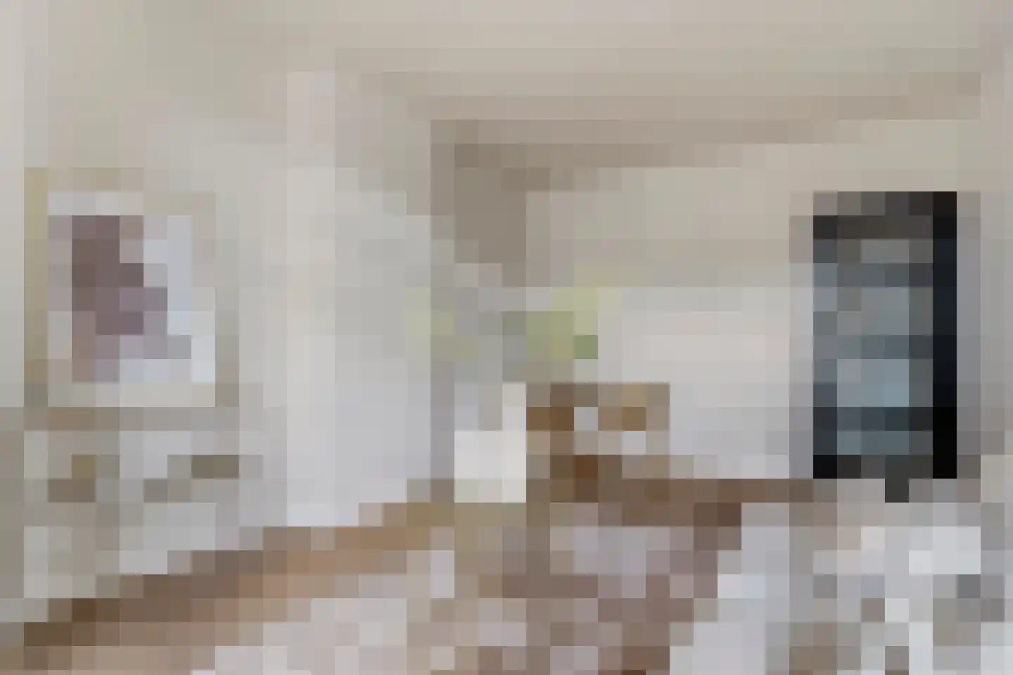 Sluisstraat 34 1 Amsterdam thumbnail 7