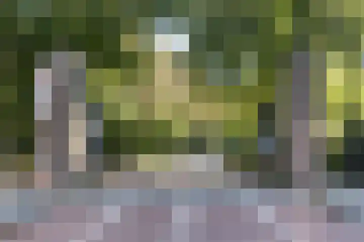 Sluisstraat 38 1 Amsterdam thumbnail 40