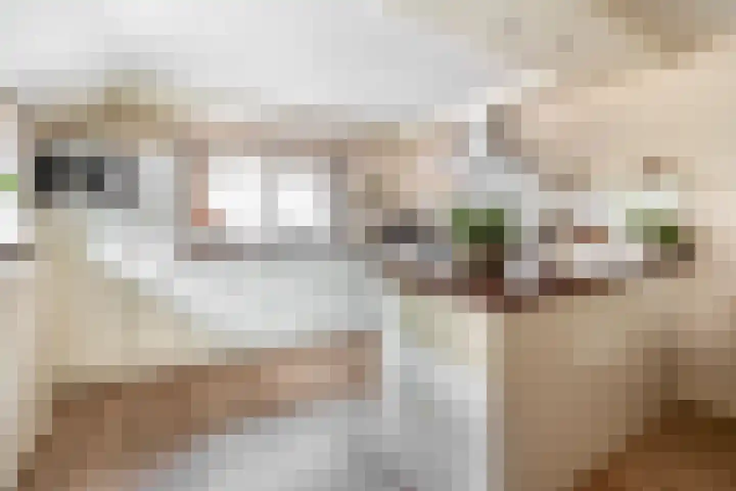 Sluisstraat 40 Musselkanaal thumbnail 23