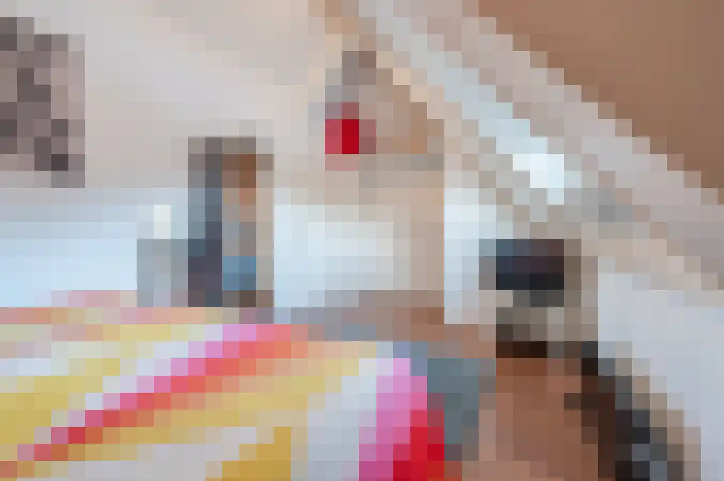 Sluisstraat 45 Geldrop thumbnail 25