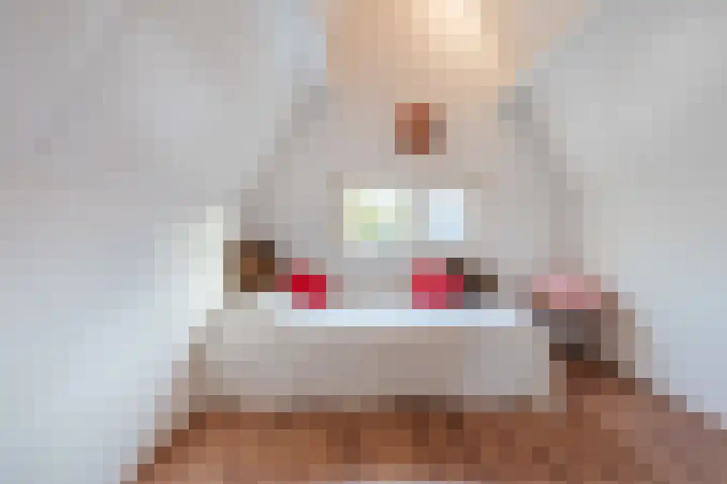 Sluisstraat 45 Geldrop thumbnail 26