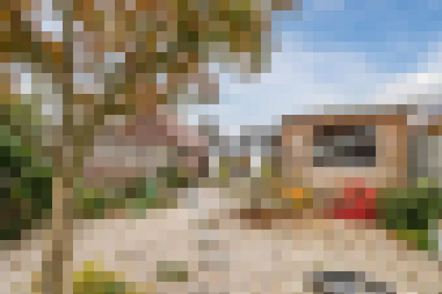 Sluisstraat 45 Geldrop thumbnail 36