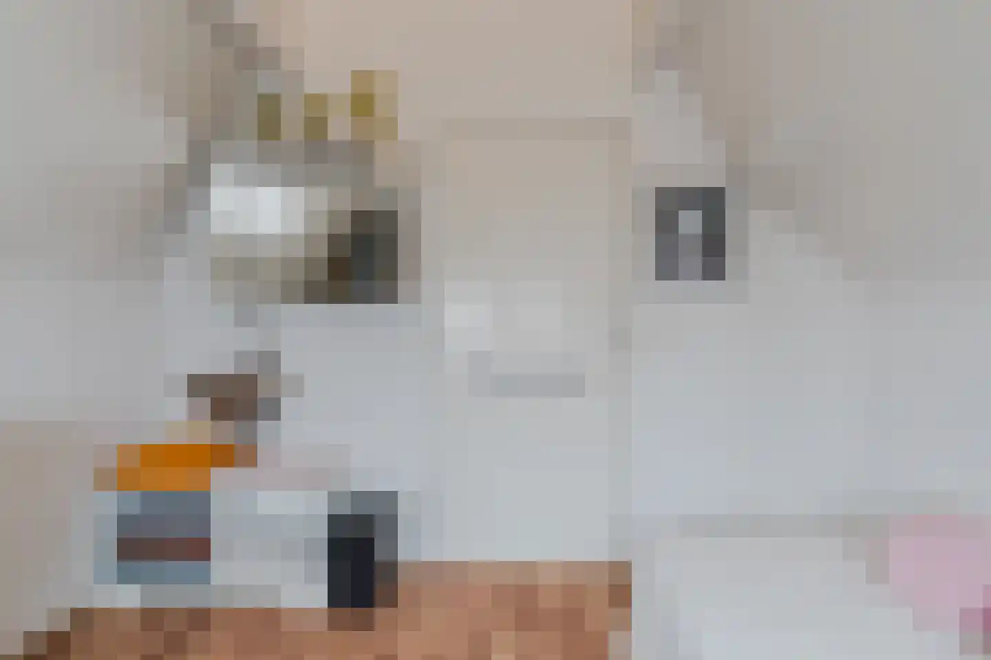 Sluisstraat 45 Geldrop thumbnail 39