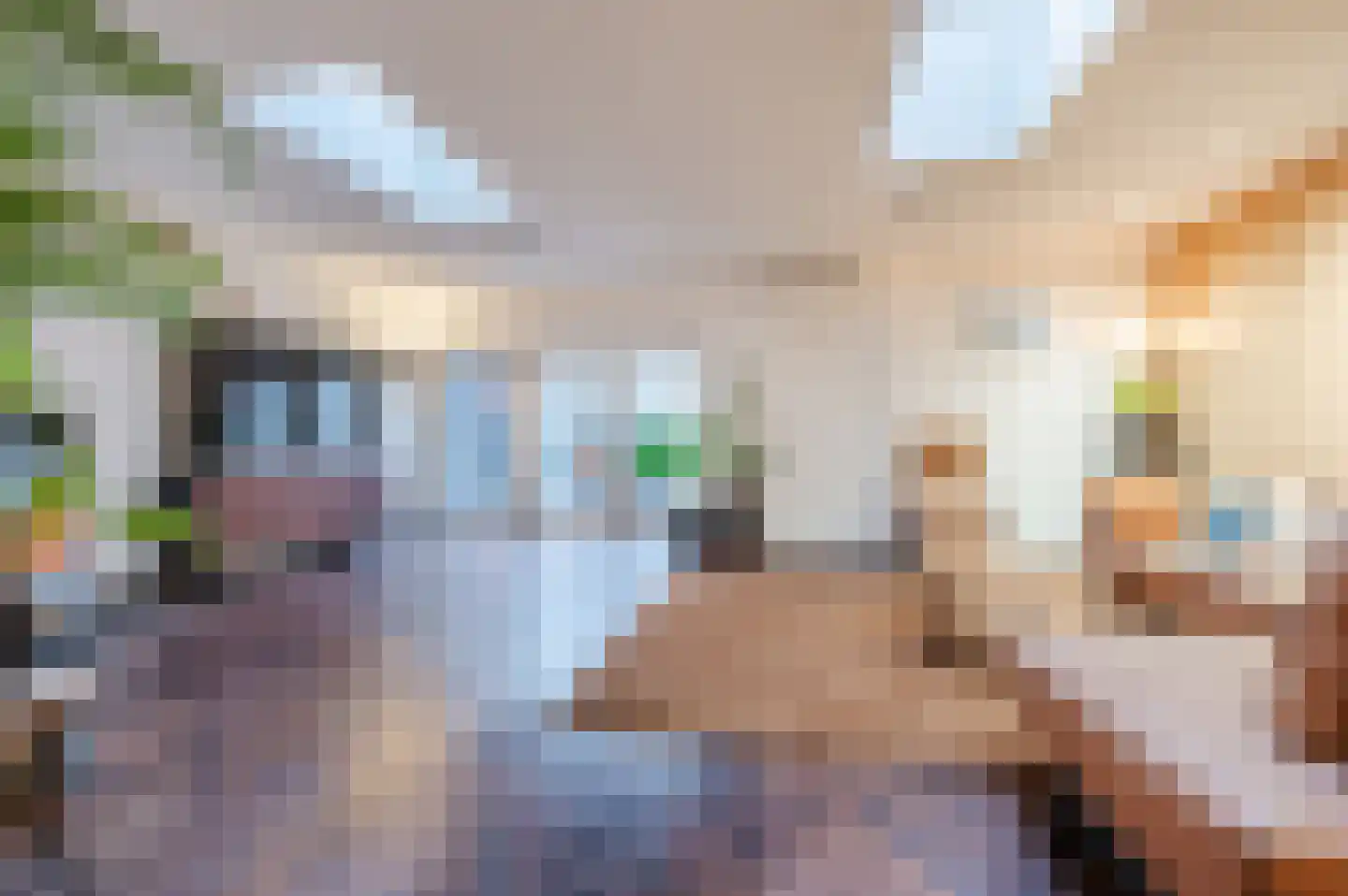 Sluisstraat 45 Geldrop thumbnail 5