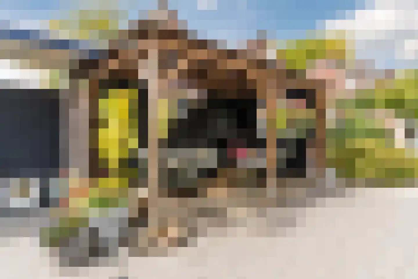 Sluisstraat 45 Geldrop thumbnail 53