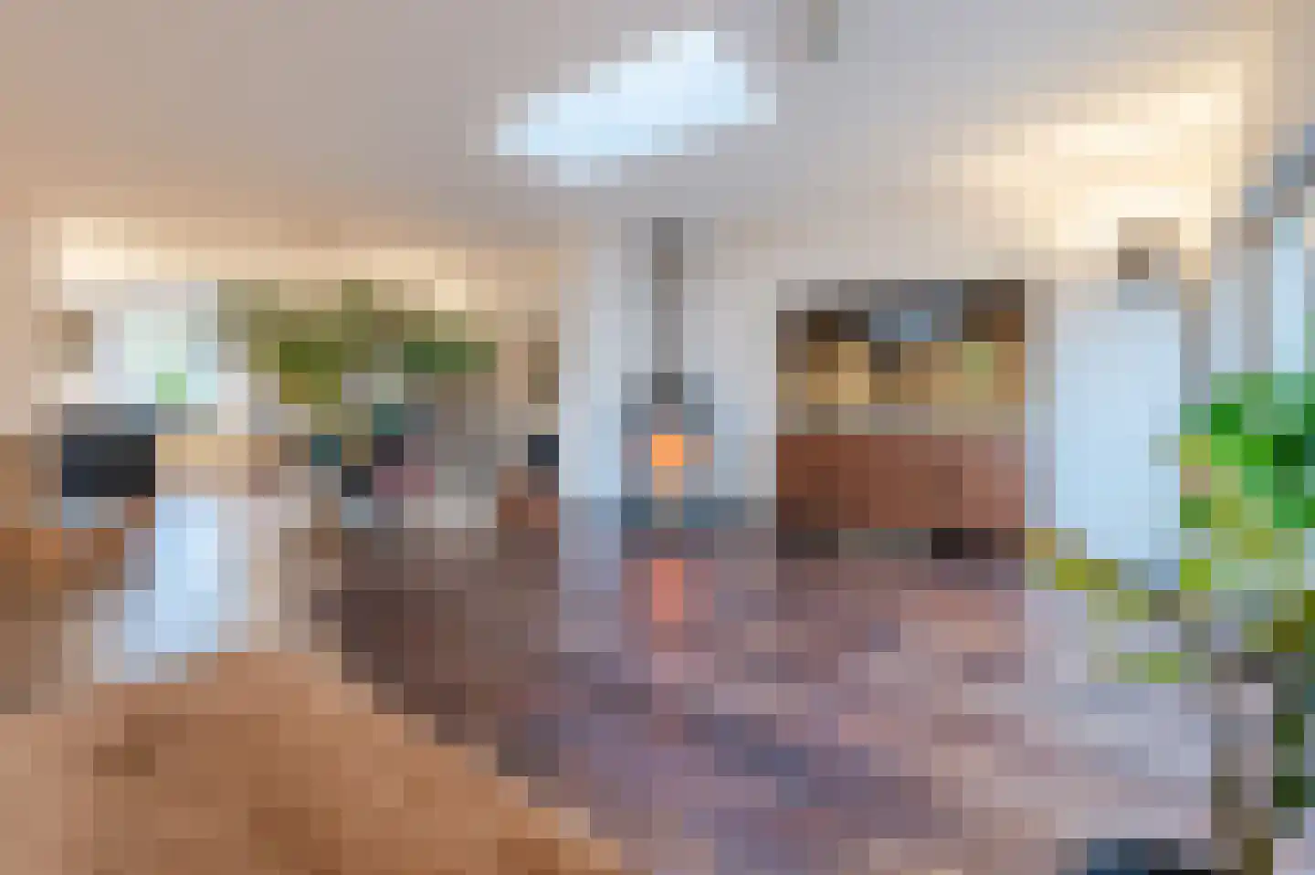 Sluisstraat 45 Geldrop thumbnail 8