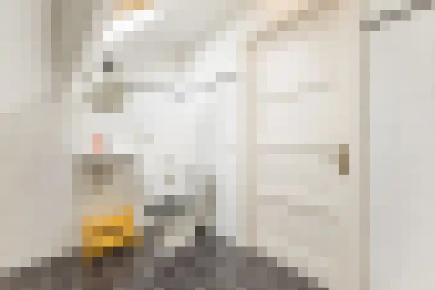 Sluisstraat 56 A Geldrop thumbnail 16