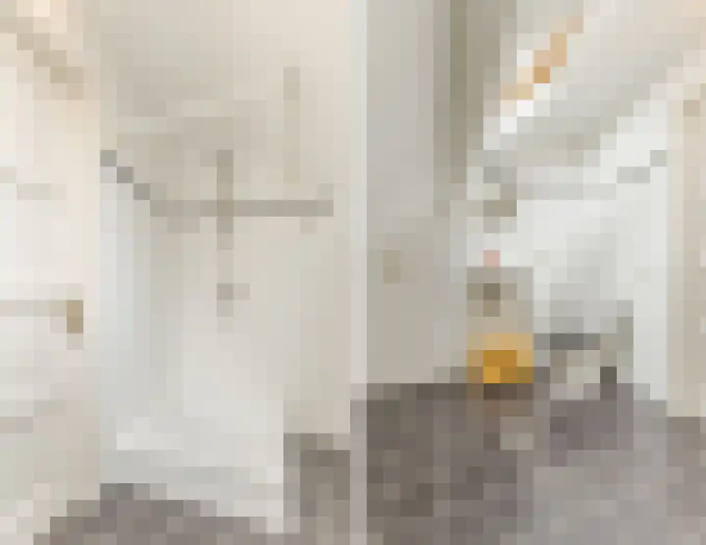 Sluisstraat 56 A Geldrop thumbnail 18